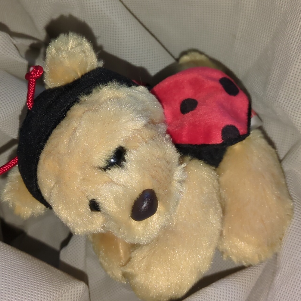 Aurora Teddy bear Dressed up as Ladybug